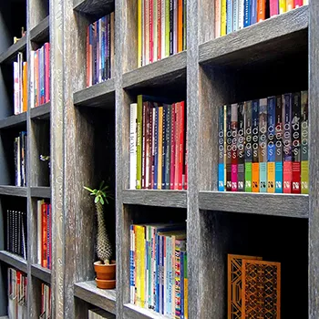 biblioteca-conaccesorios-th