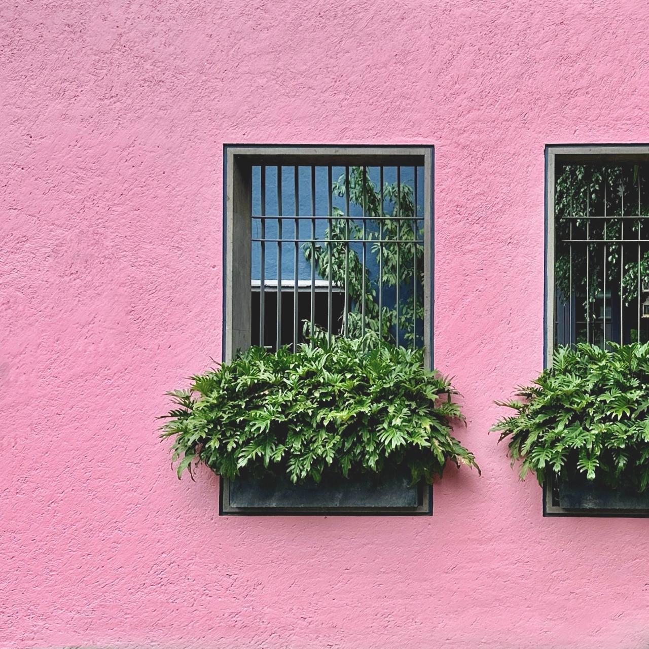 Diseño de interiores: color